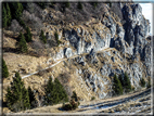 foto Salita dal Monte Tomba a Cima Grappa